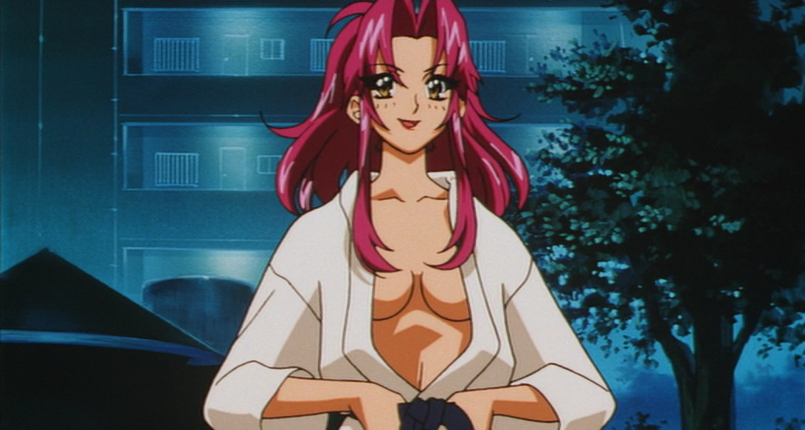 Akihabara Dennou-gumi: 2011-nen no Natsuyasumi (Fansubber)